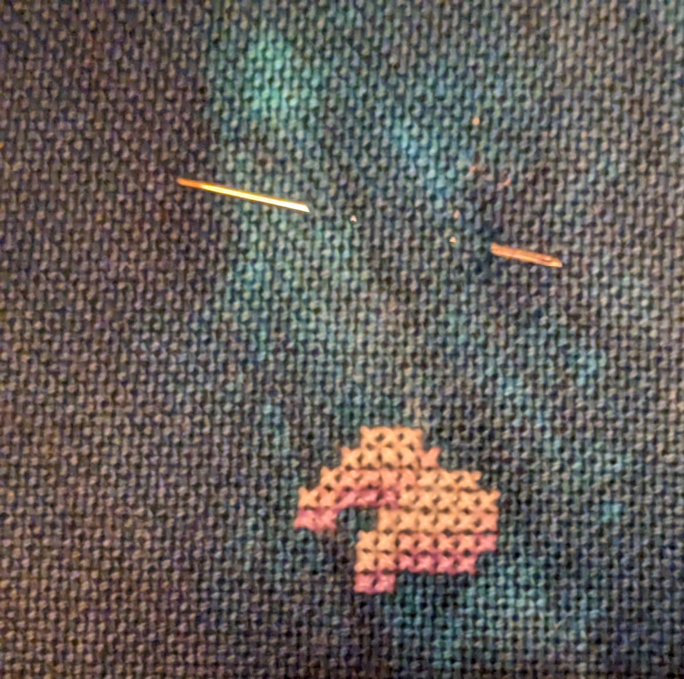 The start of a claw of a dragon skeleton