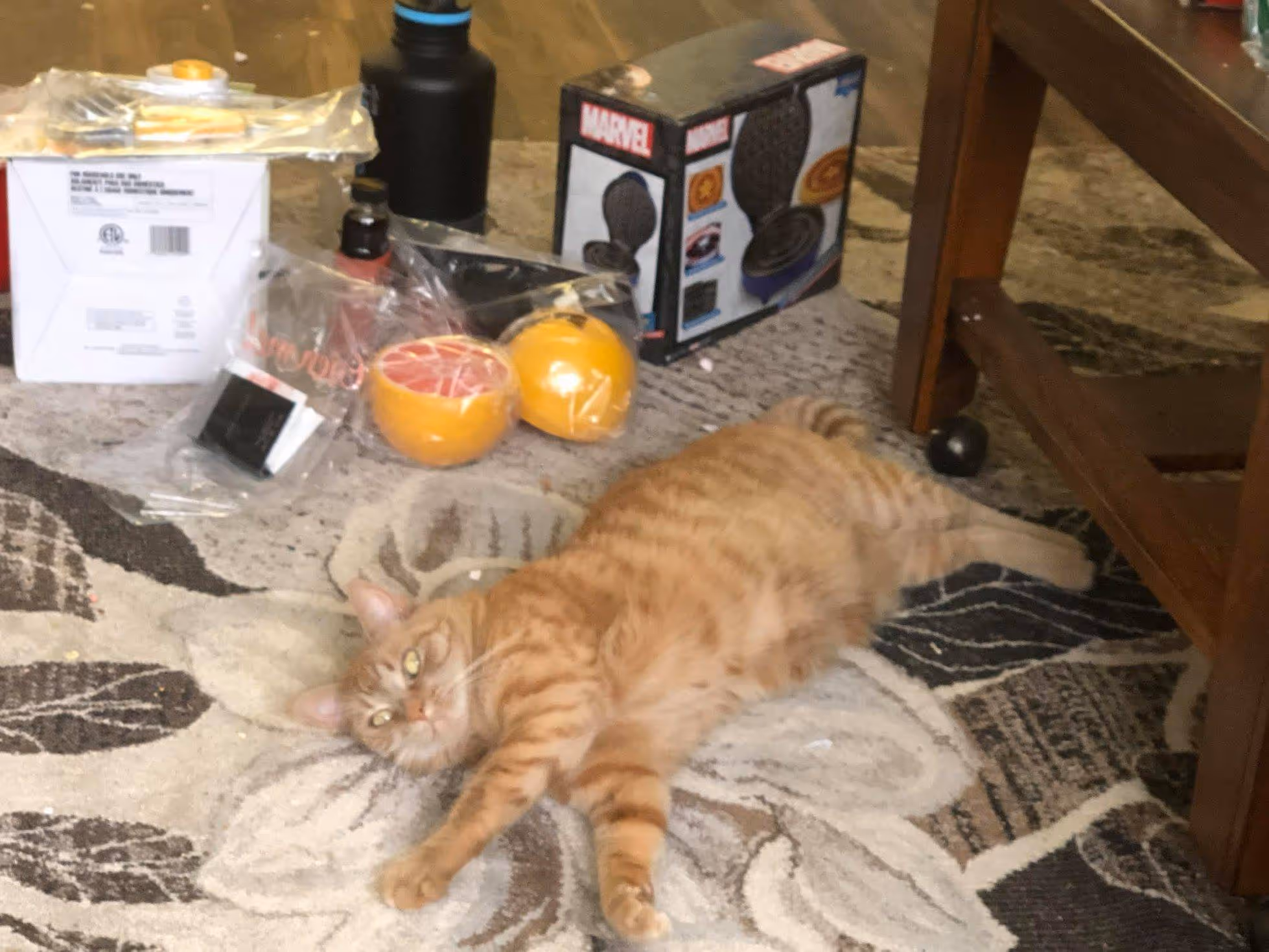 An orange cate laying on a brown and tan carpet surrounded by kitchen things