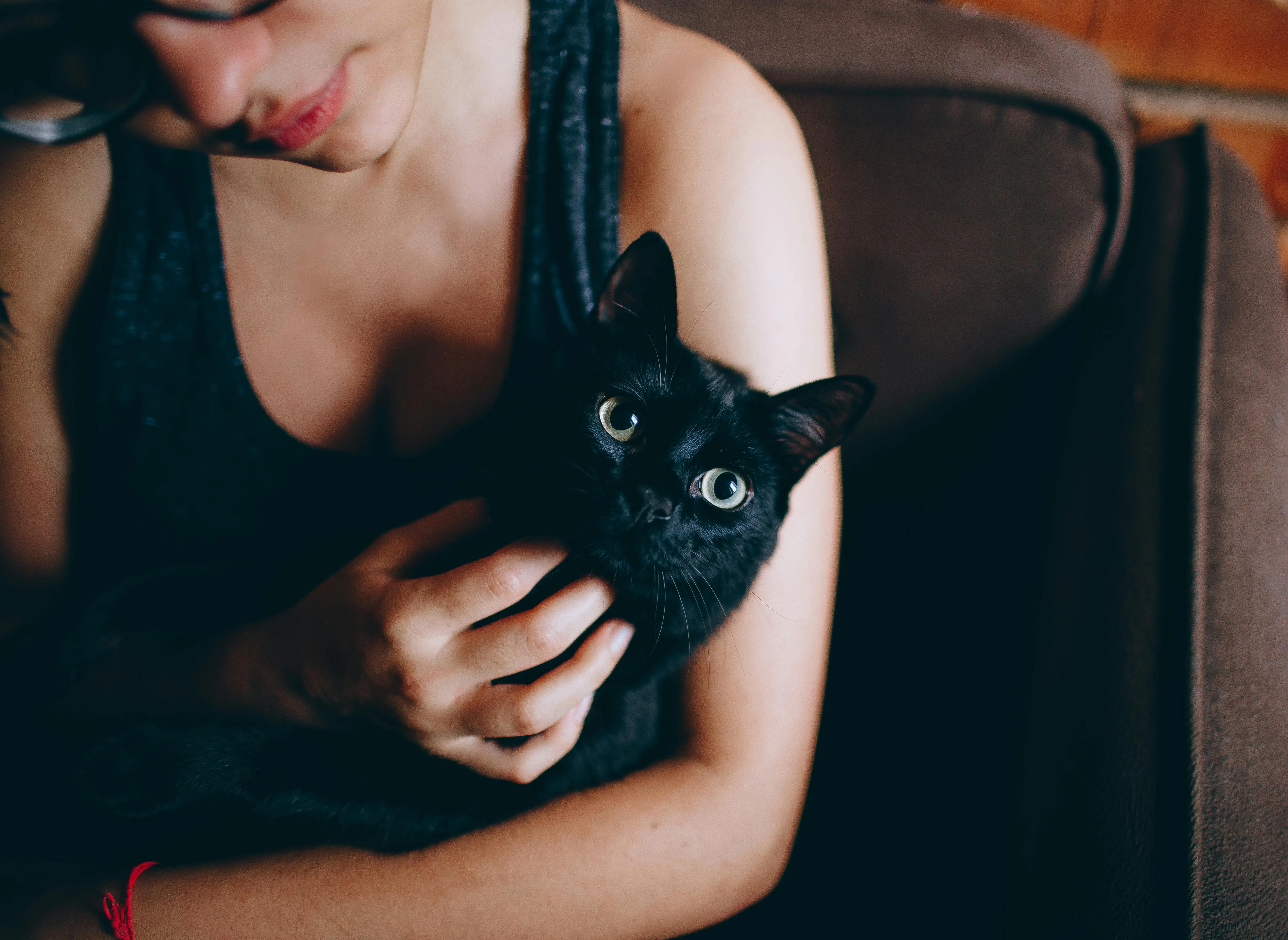 Image of a black cat being held in the lap of a woman