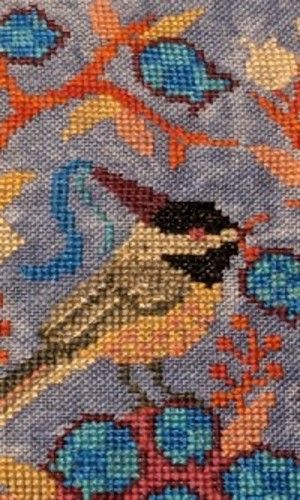 A chickadee with a blueberry in its mouth