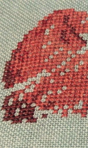 The start of the capybara in the project